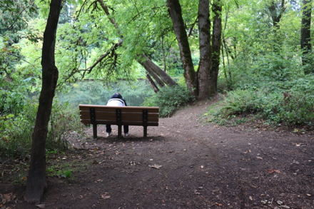Bench with view of the Tualatin River from the bark chip trail by the boat launch – parallels the park road